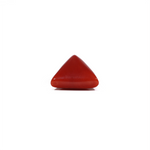 Red Coral - 7.2 Carat