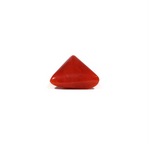Red Coral - 6.1 Carat