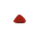 Red Coral - 6.3 Carat