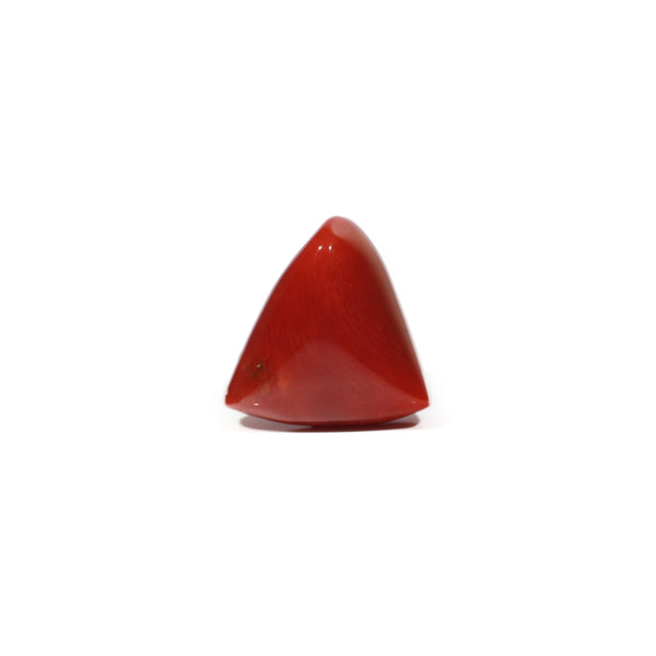 Red Coral - 10.5 Carat