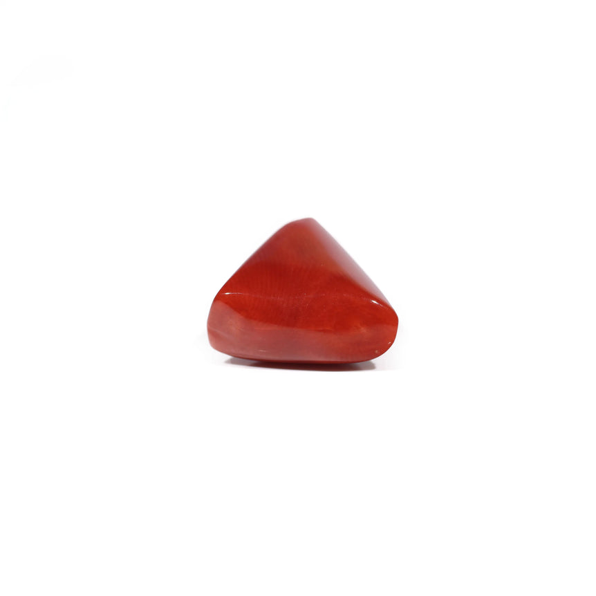Red Coral - 10.5 Carat