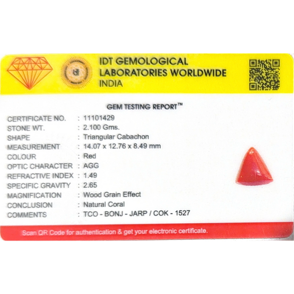 Red Coral - 10.5 Carat