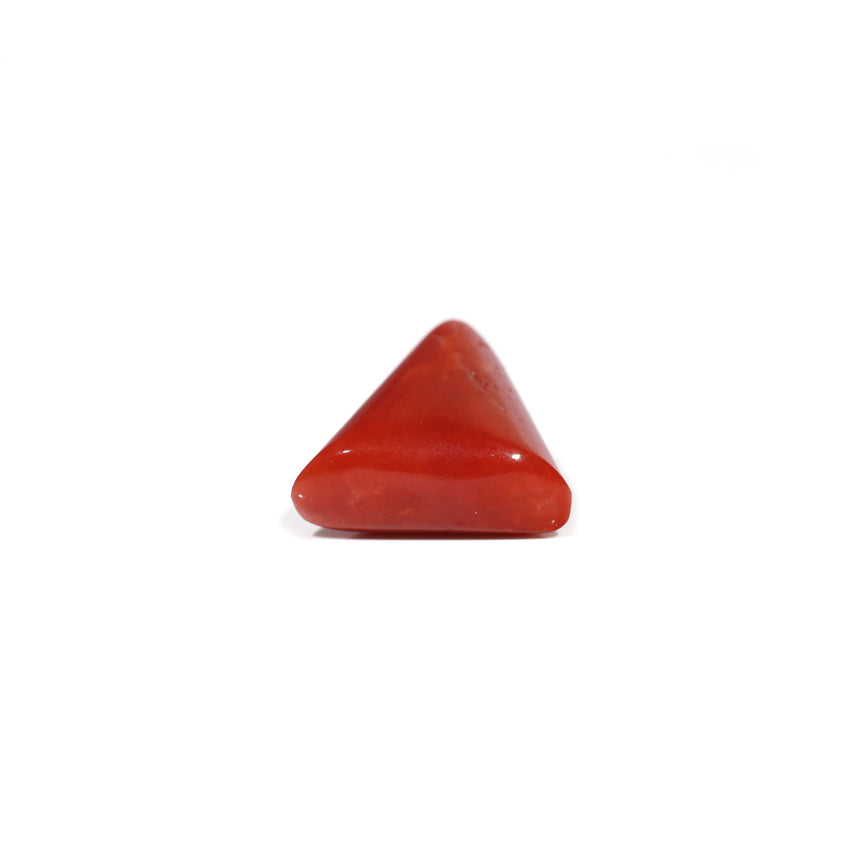 Red Coral - 8.65 Carat