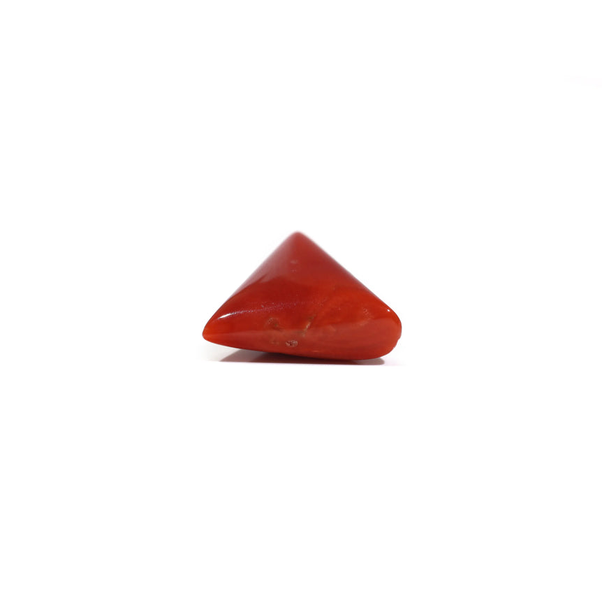 Red Coral - 7.8 Carat