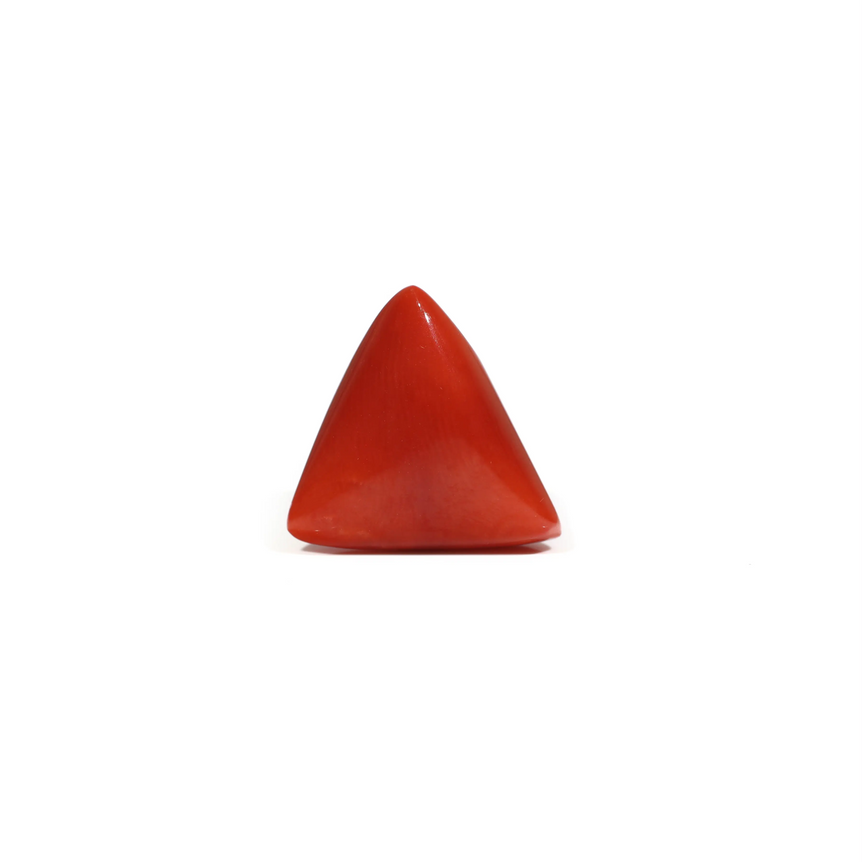 Red Coral - 7.2 Carat