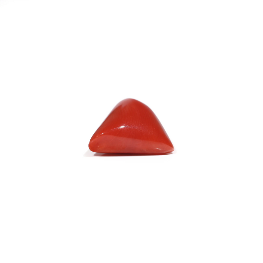 Red Coral - 7.2 Carat