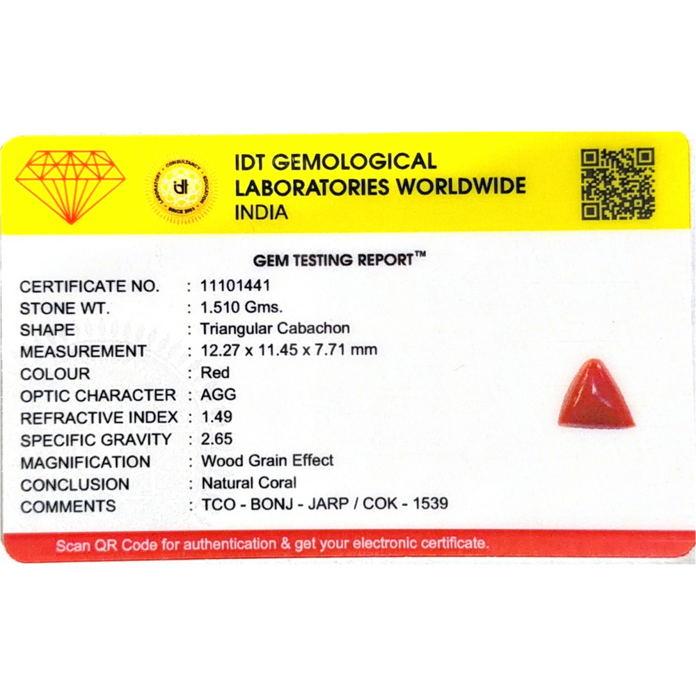 Red Coral - 7.55 Carat