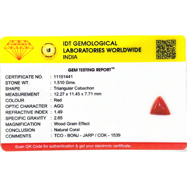 Red Coral - 7.55 Carat