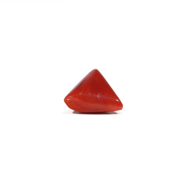 Red Coral - 7.45 Carat