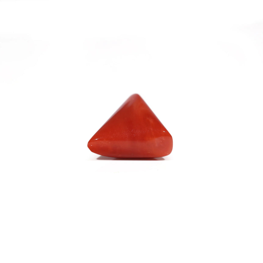 Red Coral - 5.9 Carat