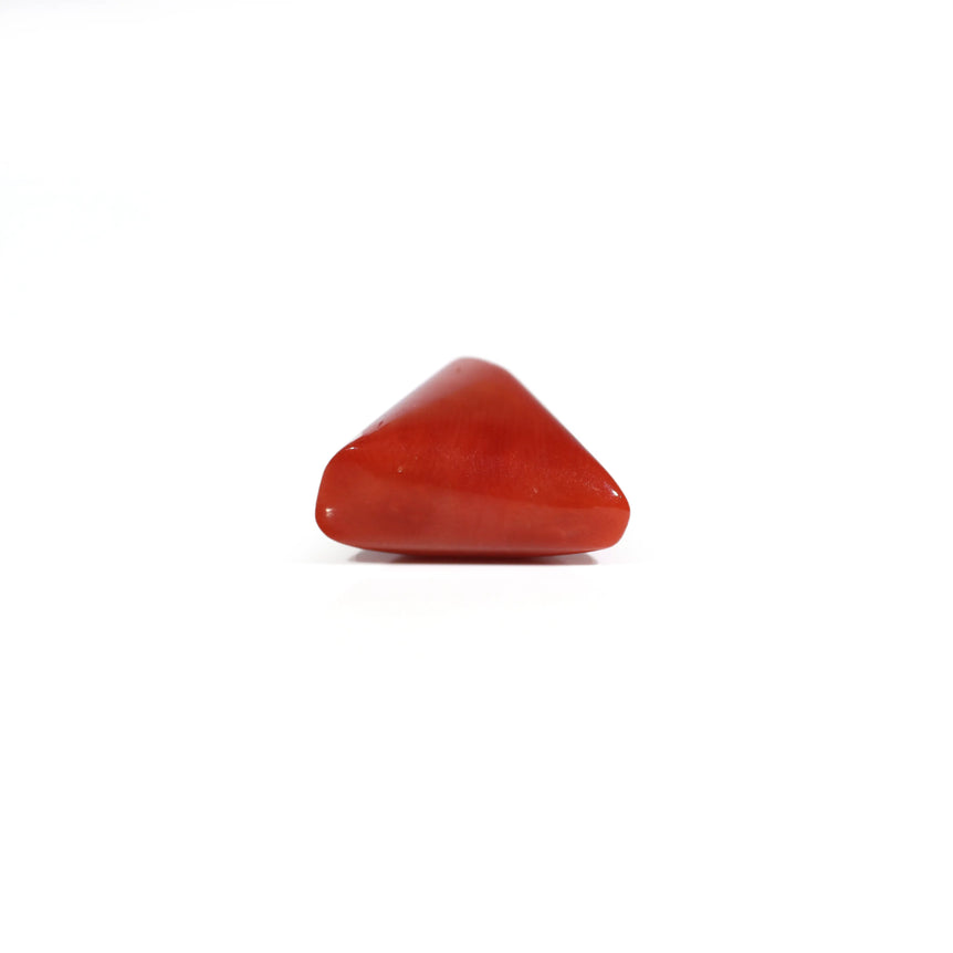 Red Coral - 8.1 Carat