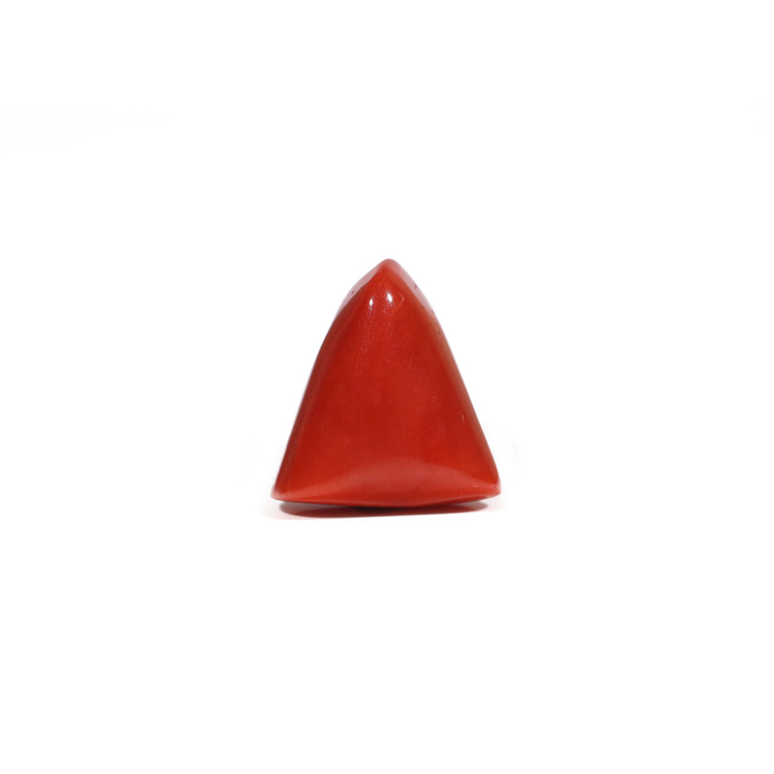 Red Coral - 8.55 Carat