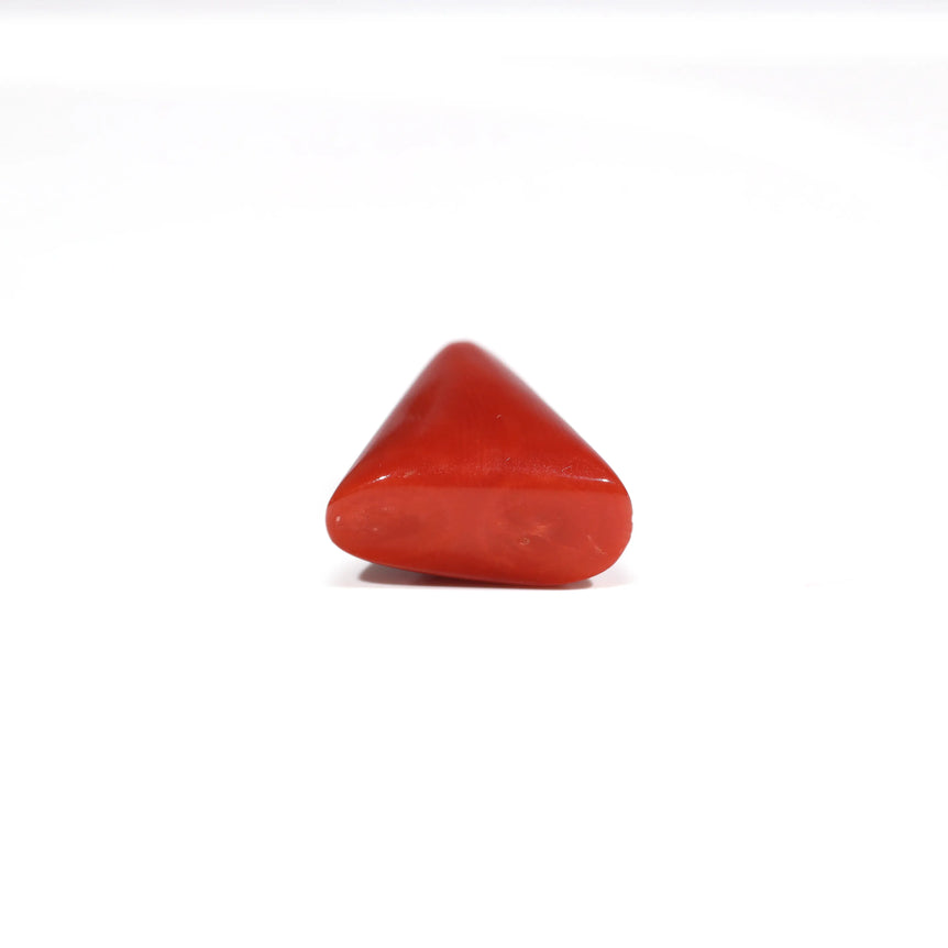 Red Coral - 8.55 Carat