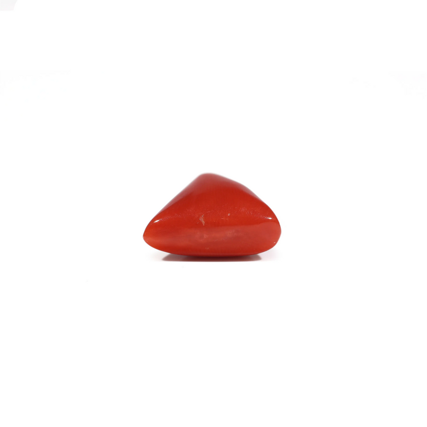 Red Coral - 6.45 Carat