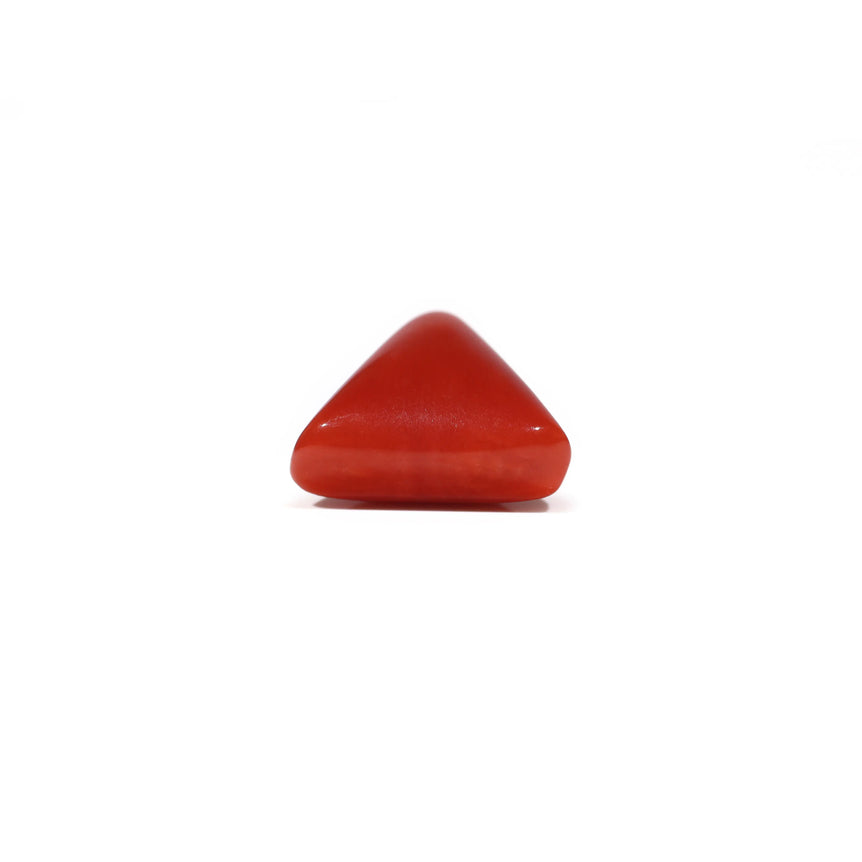 Red Coral - 6.6 Carat