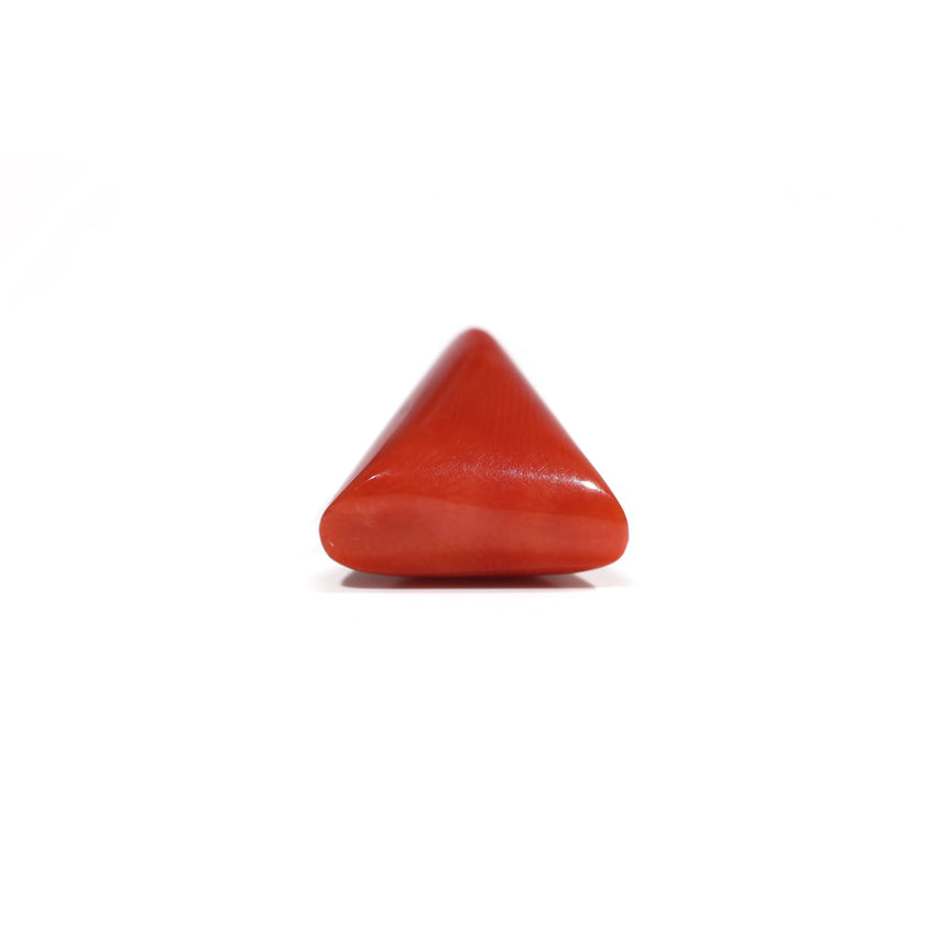 Red Coral - 7.95 Carat
