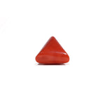 Red Coral - 7.95 Carat