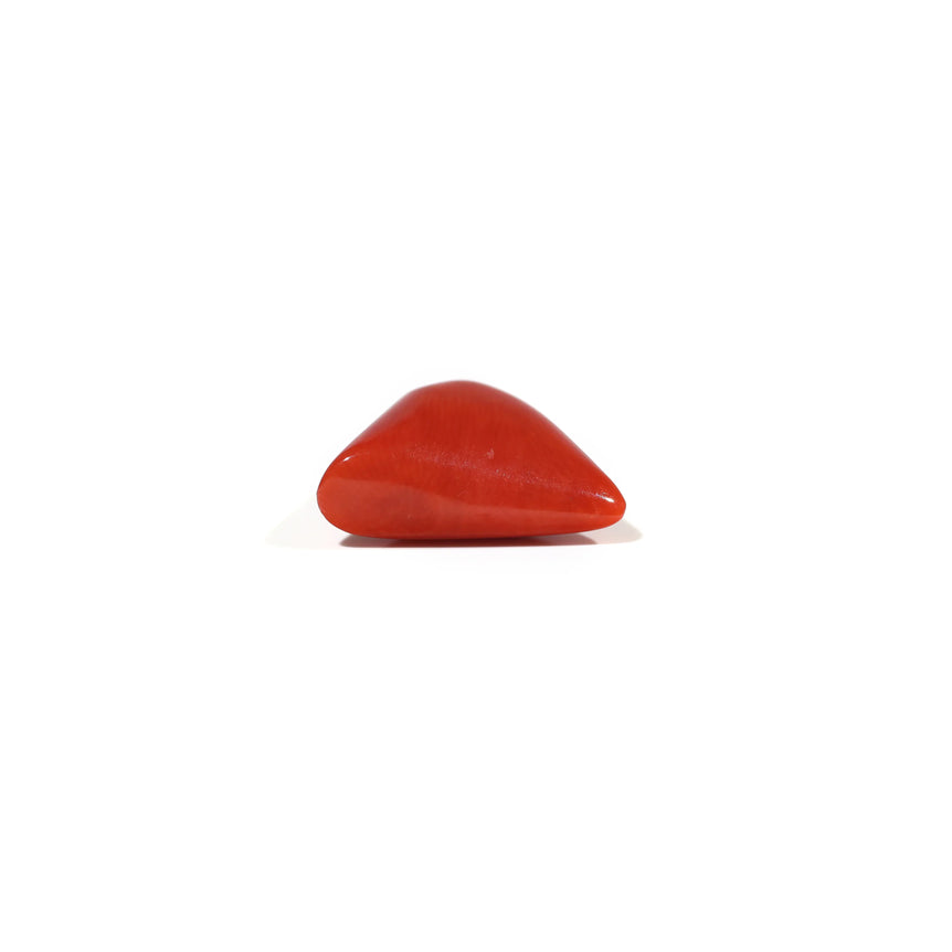 Red Coral - 6.15 Carat