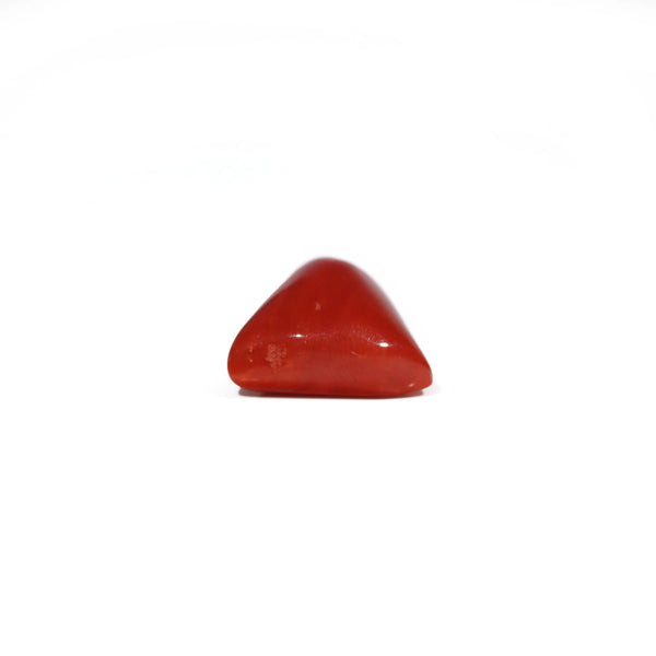 Red Coral - 8.4 Carat