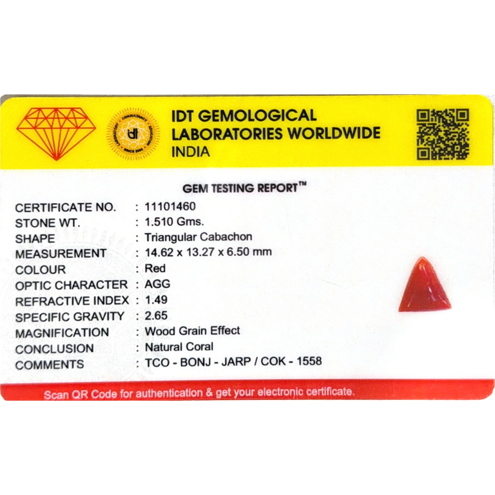 Red Coral - 7.55 Carat