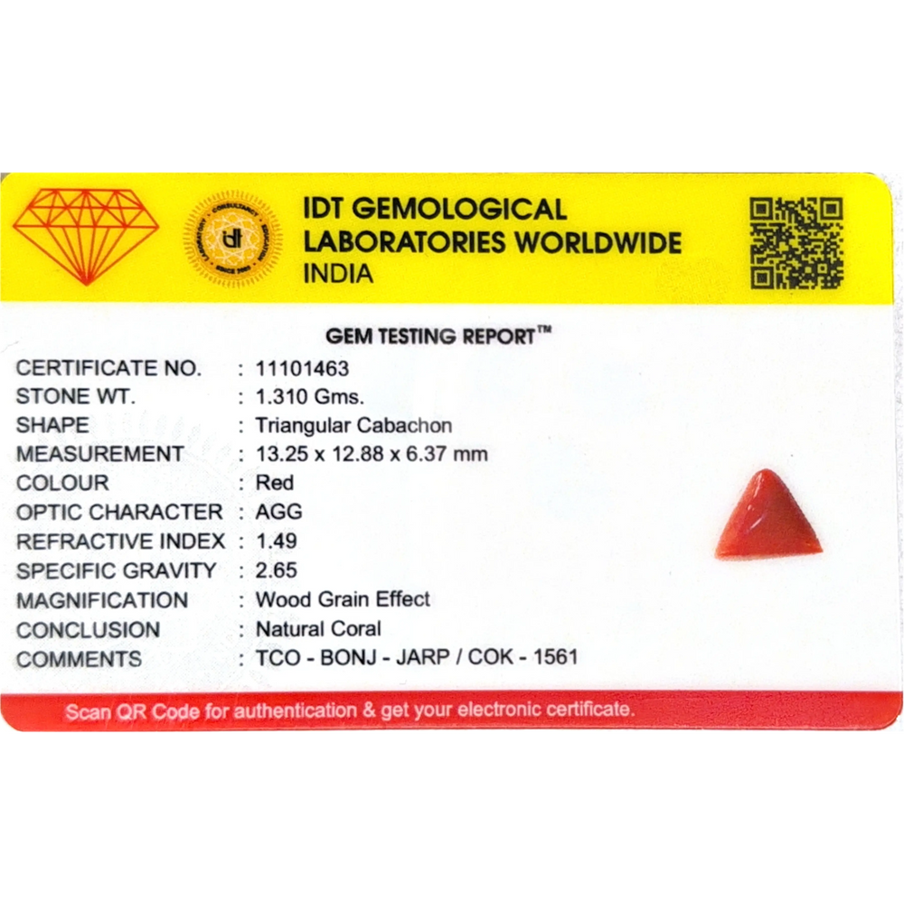 Red Coral - 6.55 Carat