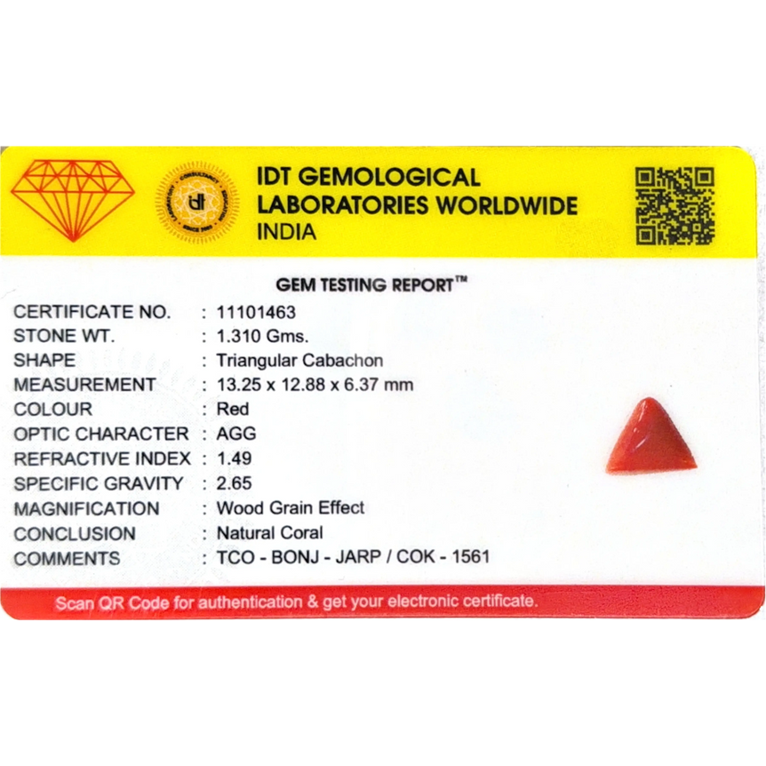 Red Coral - 6.55 Carat
