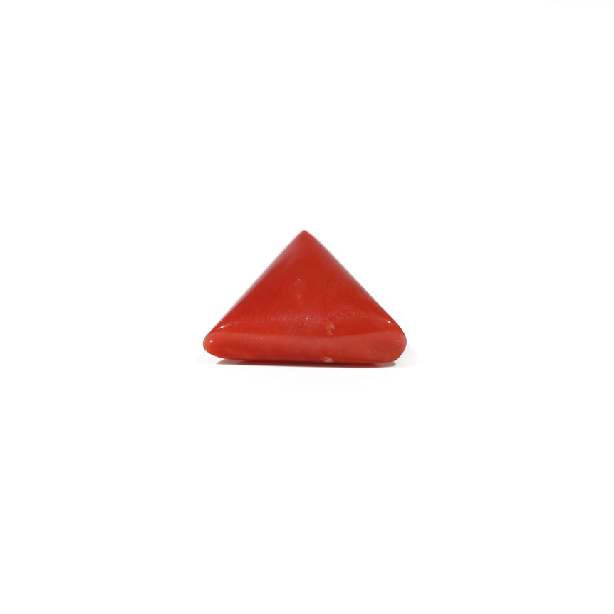 Red Coral - 8.25 Carat