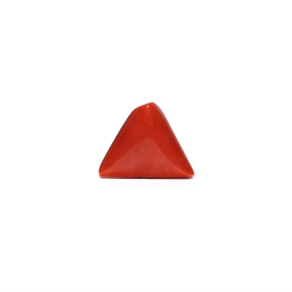  Red Coral - 7.7 Carat - Pramogh
