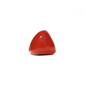  Red Coral - 7.35 Carat - Pramogh