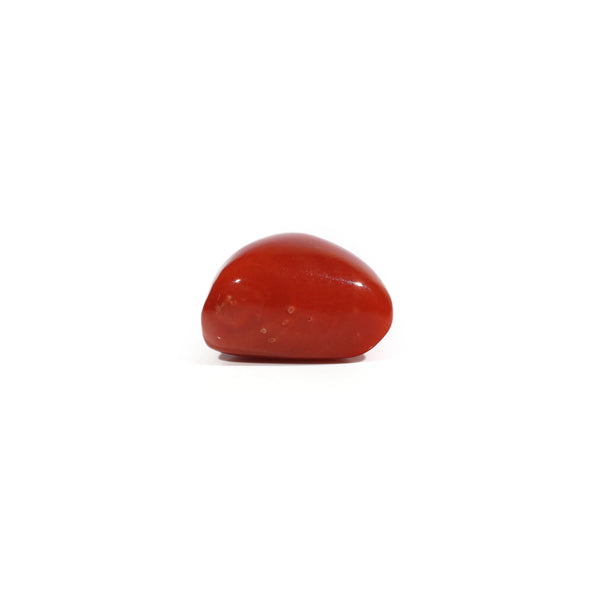 Red Coral - 7.35 Carat