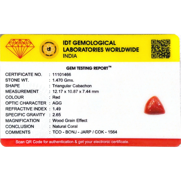 Red Coral - 7.35 Carat