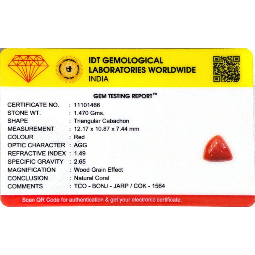Red Coral - 7.35 Carat
