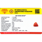 Red Coral - 7.35 Carat