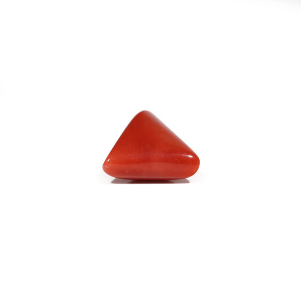 Red Coral - 7.4 Carat