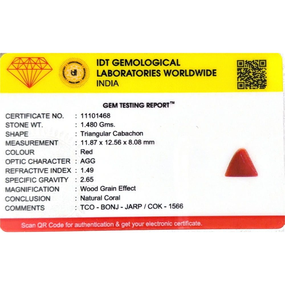 Red Coral - 7.4 Carat