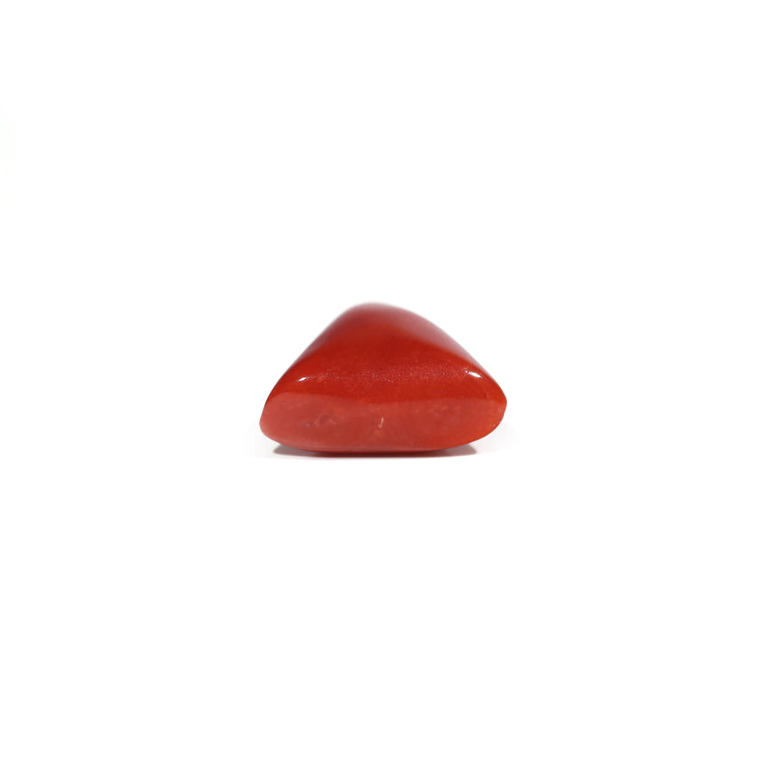 Red Coral - 7.2 Carat