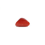 Red Coral - 7.2 Carat