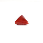 Red Coral - 6 Carat