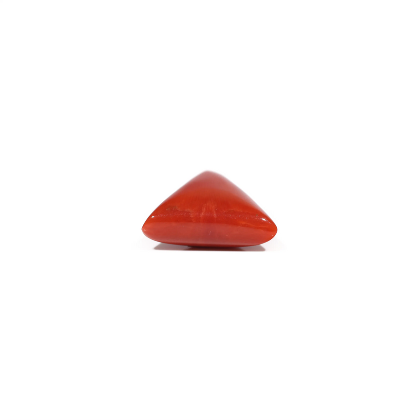 Red Coral - 6.5 Carat