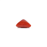 Red Coral - 6.5 Carat