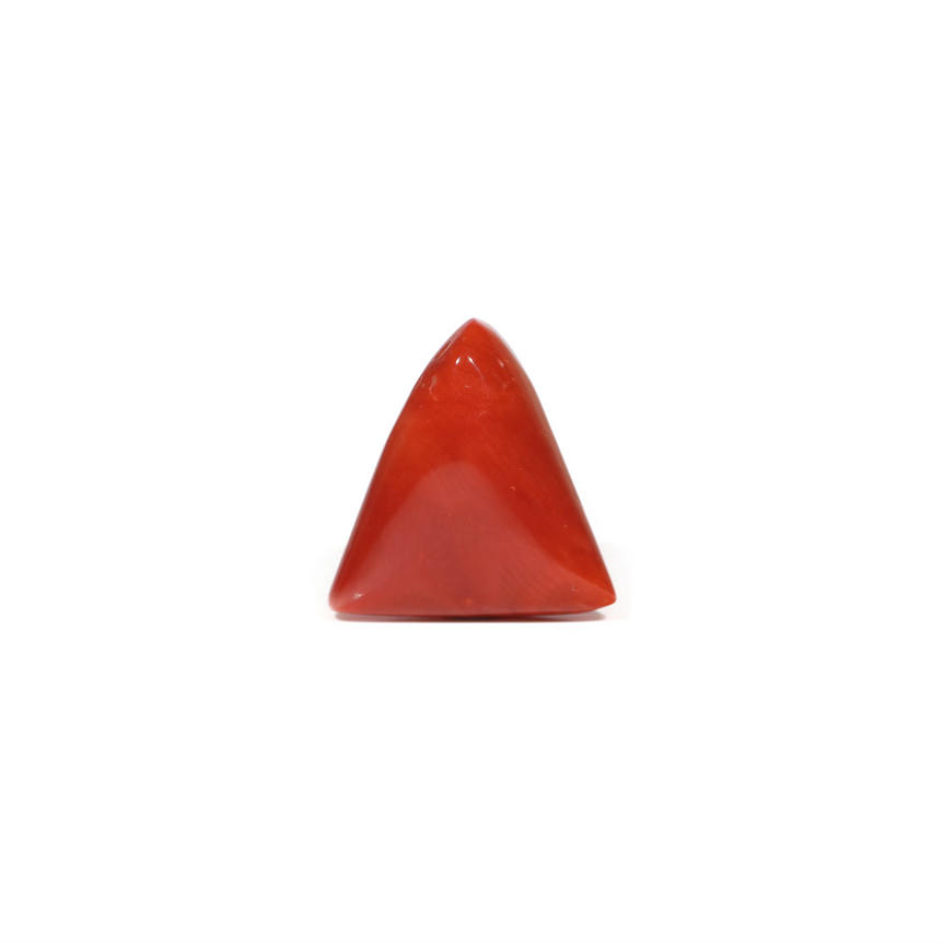 Red Coral - 8.1 Carat