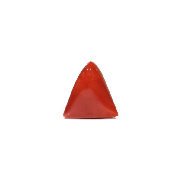Red Coral - 8.1 Carat