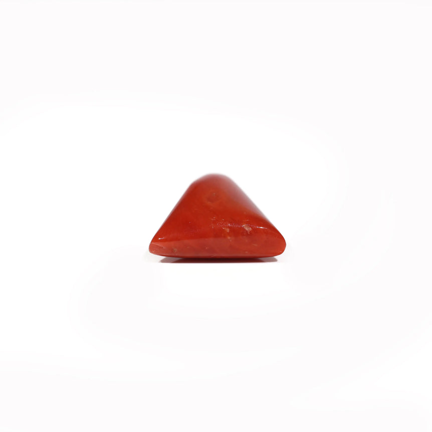 Red Coral - 8.1 Carat