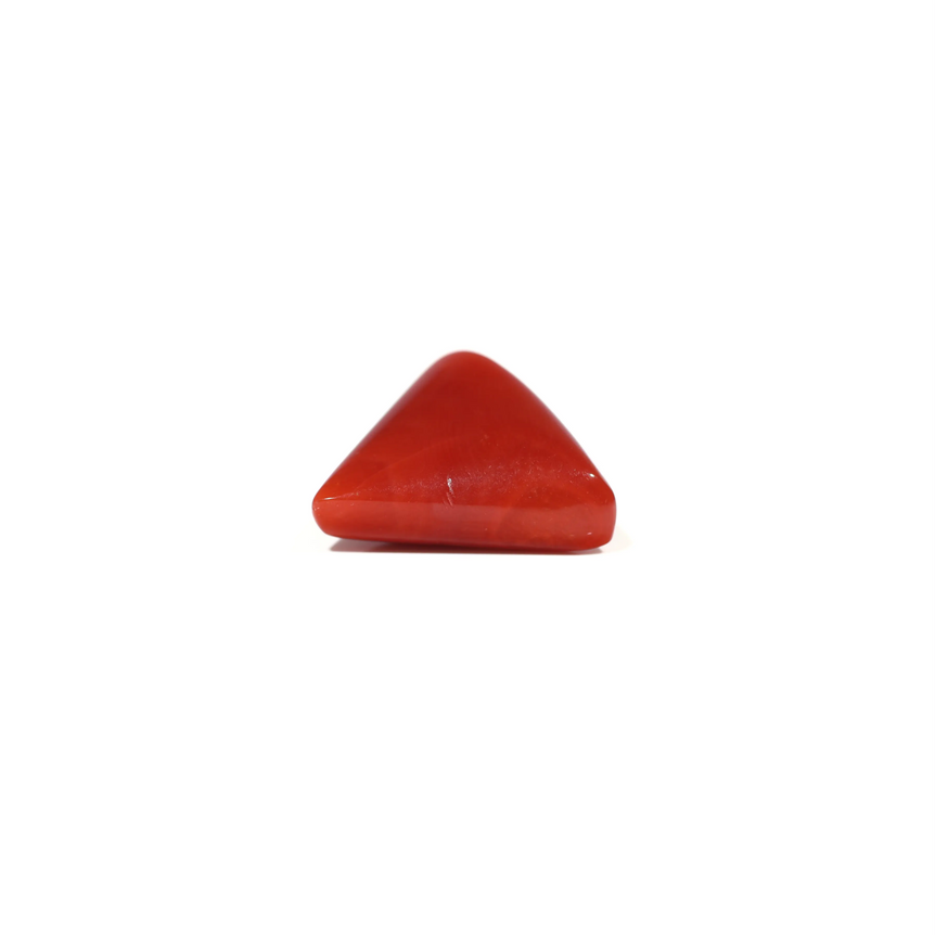Red Coral - 7.85 Carat