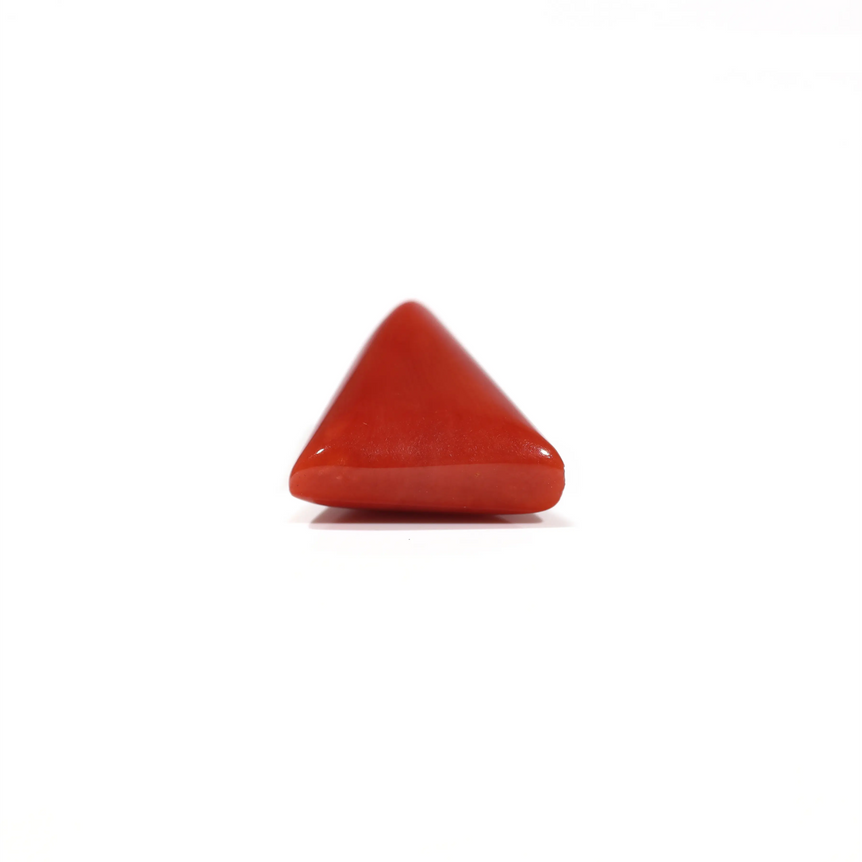 Red Coral - 6.5 Carat