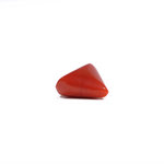 Red Coral - 7.7 Carat