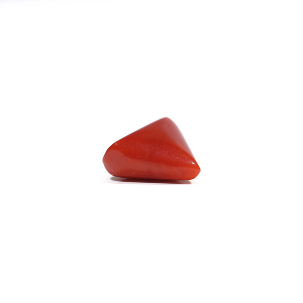 Red Coral - 7.7 Carat