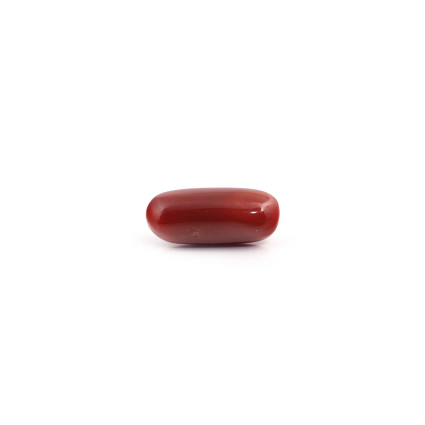 Red Coral - 7.3 Carat - Pramogh