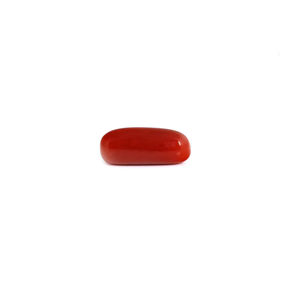 Red Coral - 7.65 Carat