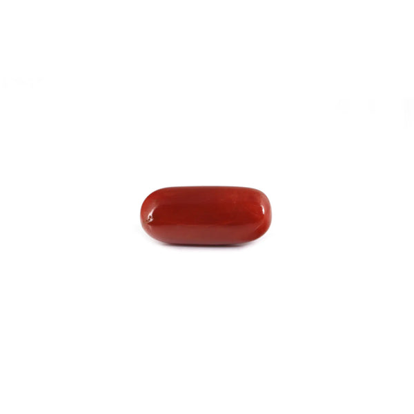 Red Coral - 8.5 Carat